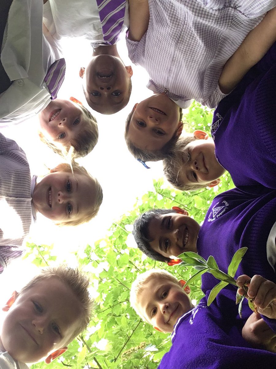 TheTrinityL5's tweet photo. Good afternoon world!........What a wonderful world we live in! 🌳🍃🌱 #trinityscience #y1thetrinity 💜 https://t.co/d12qcV8eMN
