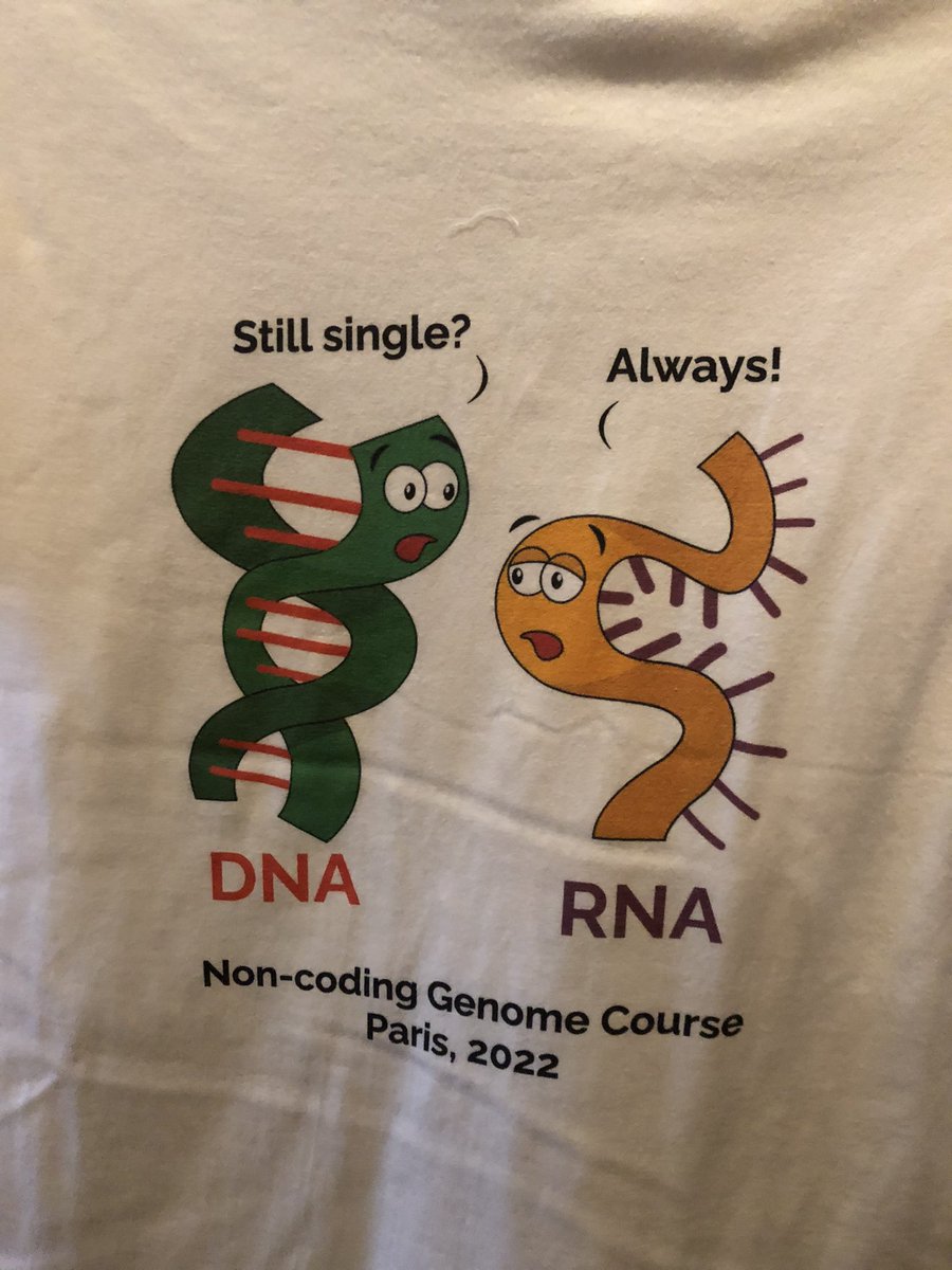 What a cool way to finish the 11th noncoding meeting at <a href="/institut_curie/">Institut Curie</a> with <a href="/LabMorillon/">Morillon’s lab</a> <a href="/pieter_mestdagh/">Pieter Mestdagh</a> @guntermaister and many more speakers (that I missed)! And of course great students!