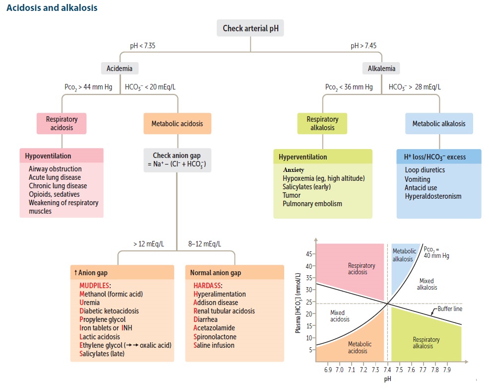Acidosis and Alkalosis - Differential Diagnosis