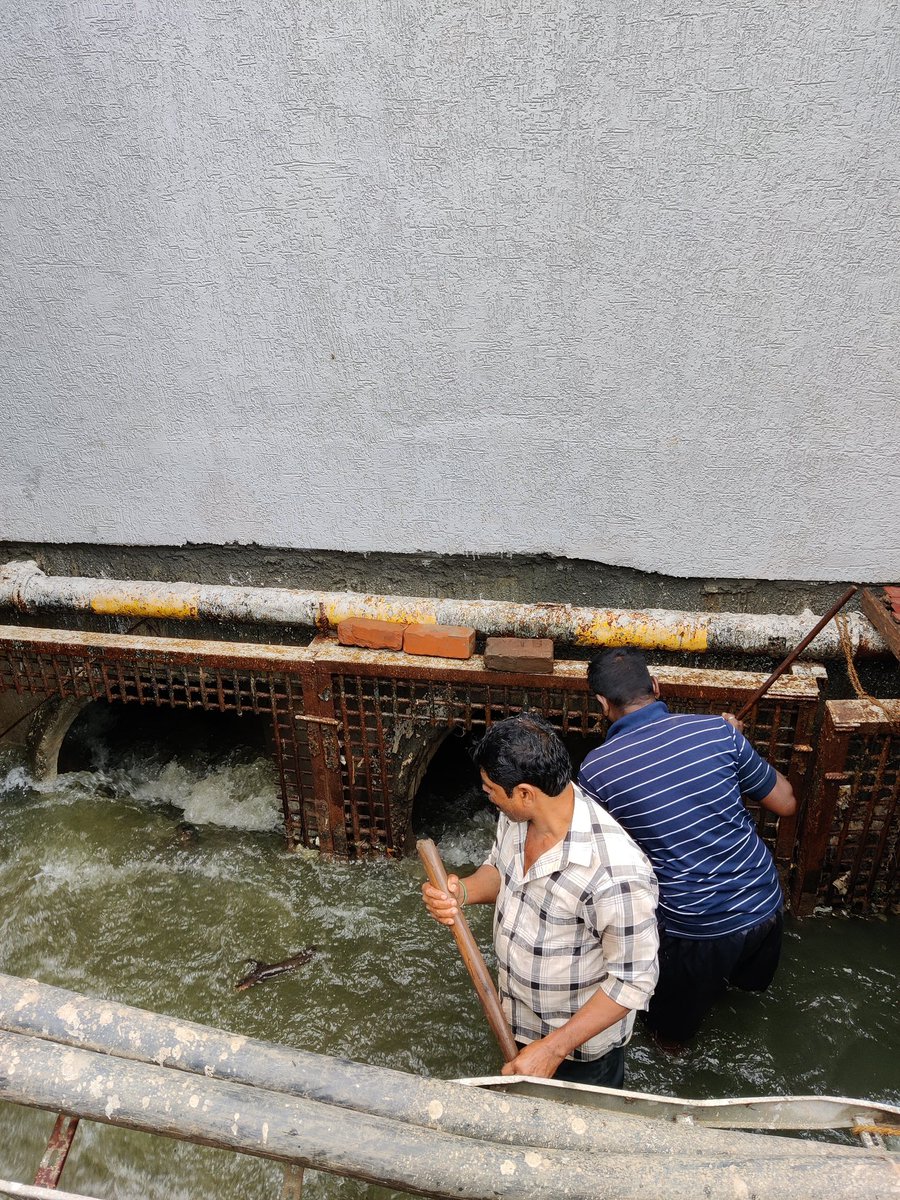 BrookefieldsBLR's tweet photo. Today at Brookefield, a self-funded locality, we doubled our workforce to clear drains and forestall floods. #selfGovernment #crowdFundYourLocality 

@MTF_Mobility @BrigadeGroup @NammaBengaluroo @WFRising @I_LOVE_BLR @BellandurJothge @bengawalk @Dnekundi_rising @aapkaprithvi https://t.co/8OzsaggZvv