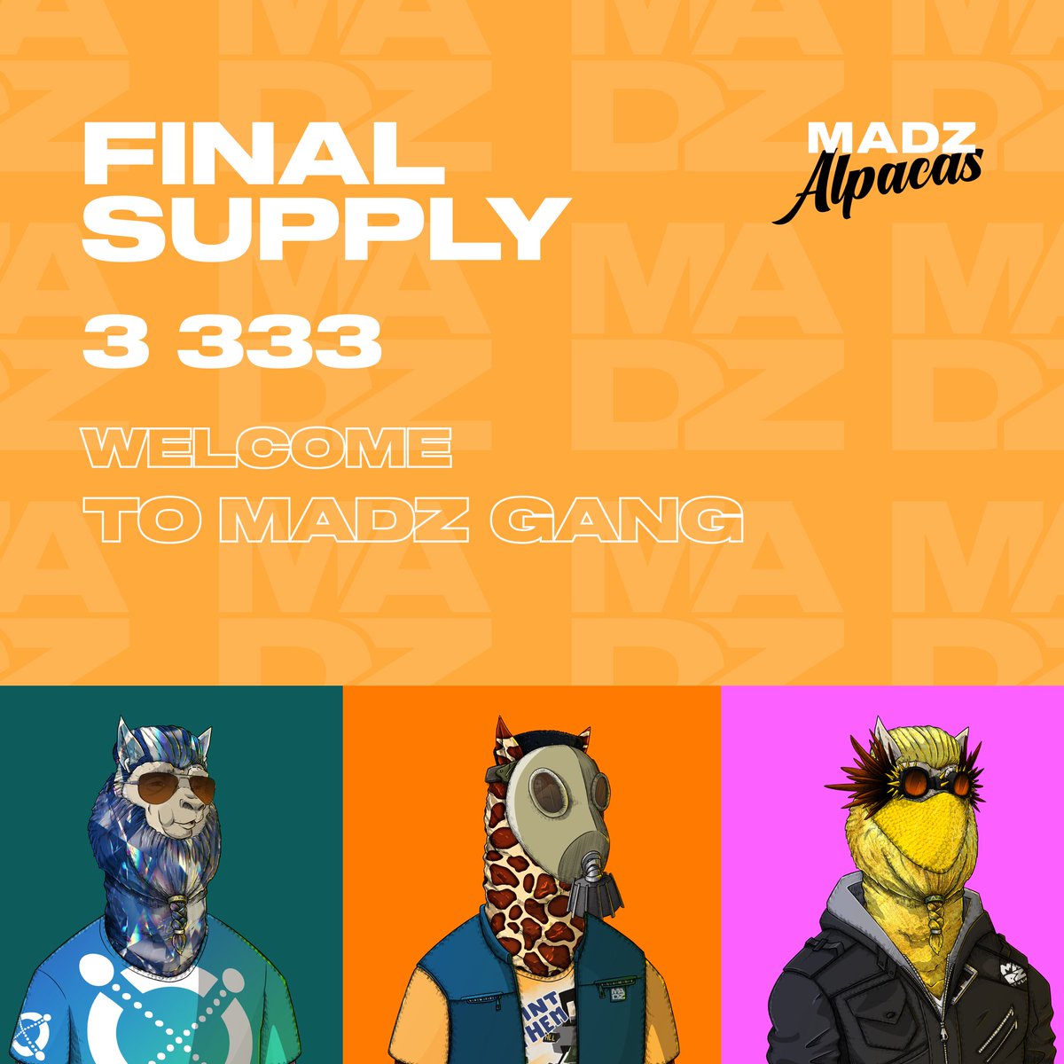 MadzStudios's tweet photo. 📢The MADZ Alpacas NFT's
⚡️ FINAL SUPPLY IS 3333 ⚡️

❤️Thank you for your support and welcome to MADZ GANG !

👉Soon to be announced the Project Roadmap https://t.co/vNRtRmQ7V0
