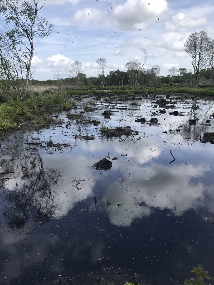 jcasperd's tweet photo. Just returned from @NaturalEngland @MeresandMosses after a very informative afternoon discussing carbon storage and carbon sinking & considering the success of #bunding in #wetland restoration with @fredworralldu63 https://t.co/xSluNSxKpl