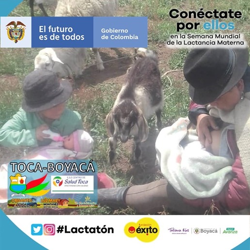 TOCA BOYACA tweet media