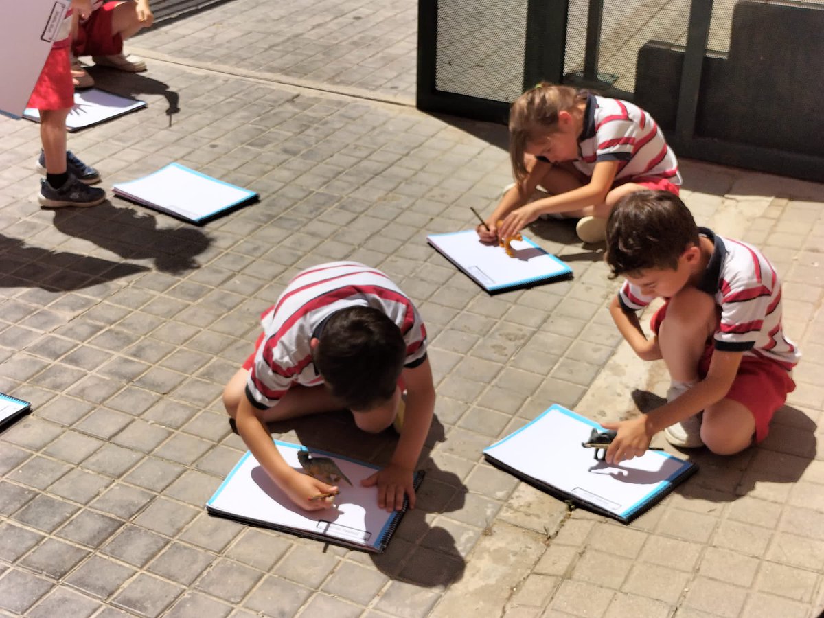 ColegiosElValle's tweet photo. Nos divertimos dibujando #sombras ✍🏻👤
#ColegiosElValle #EstimulacionTemprana #EducaciónInfantil #3INF #VB #ElValle https://t.co/Ogr6IgcZMM