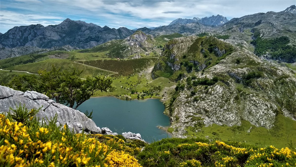 martamountain's tweet photo. Primavera en los Lagos de Covadonga!💚🌻🍃 https://t.co/shrJs9f9ye