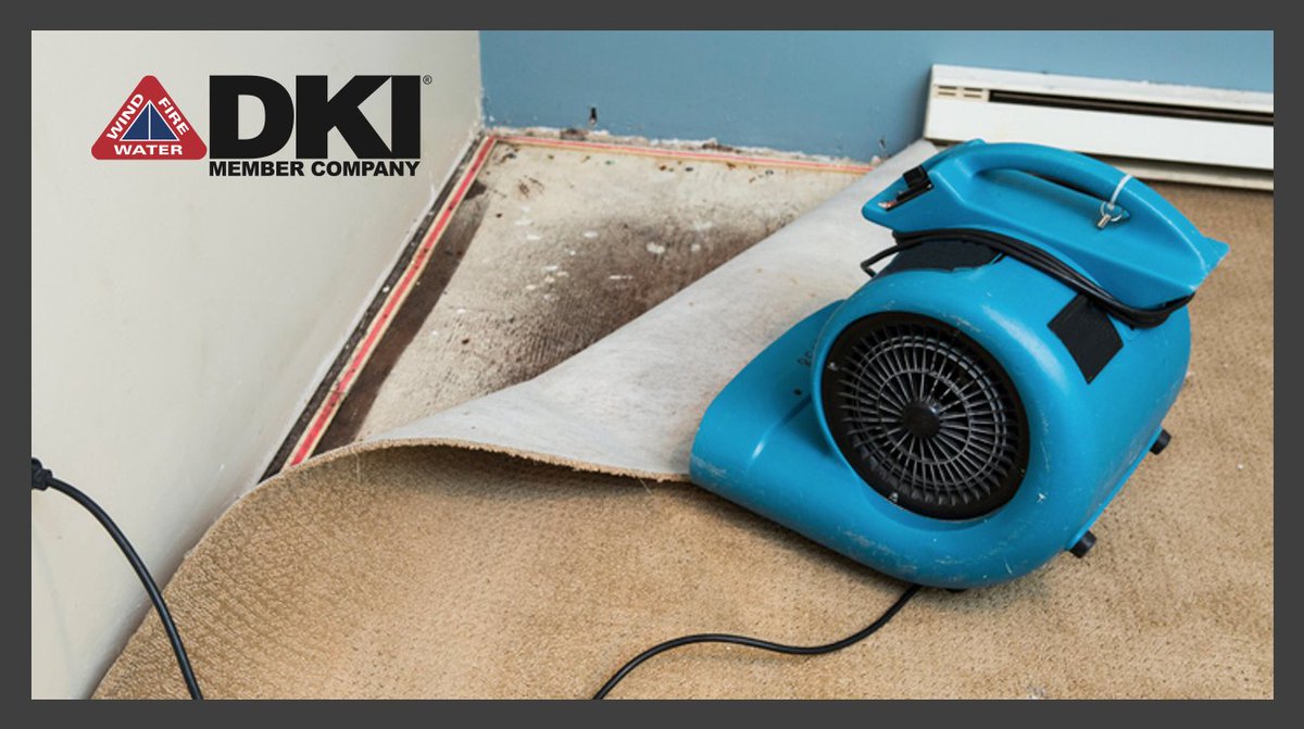 DKI is proud to offer water damage restoration services for home and business owners throughout the country. We rely on more than 48 years of experience in the industry, as well as state-of-the-art equipment to mitigate the effects of water damage. bit.ly/346jtHU