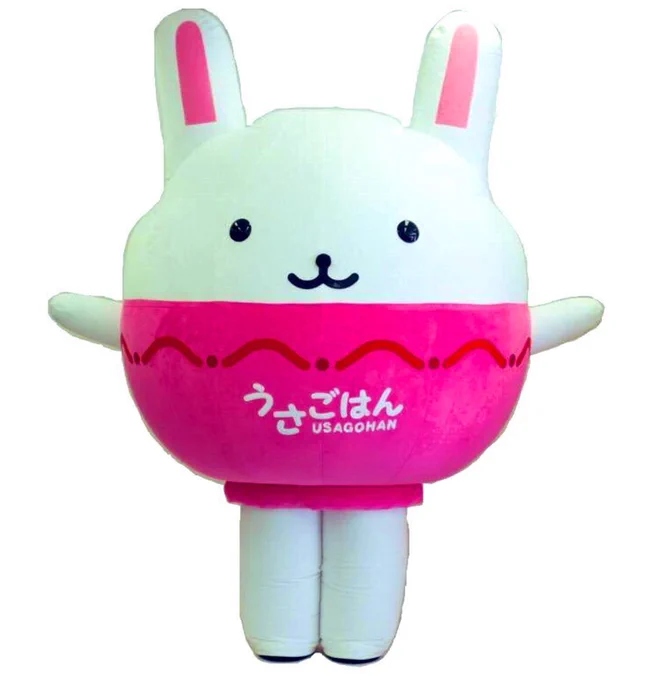 Usagohan, a rice bowl rabbit, is the nutrition mascot for Nakano, Tokyo. 