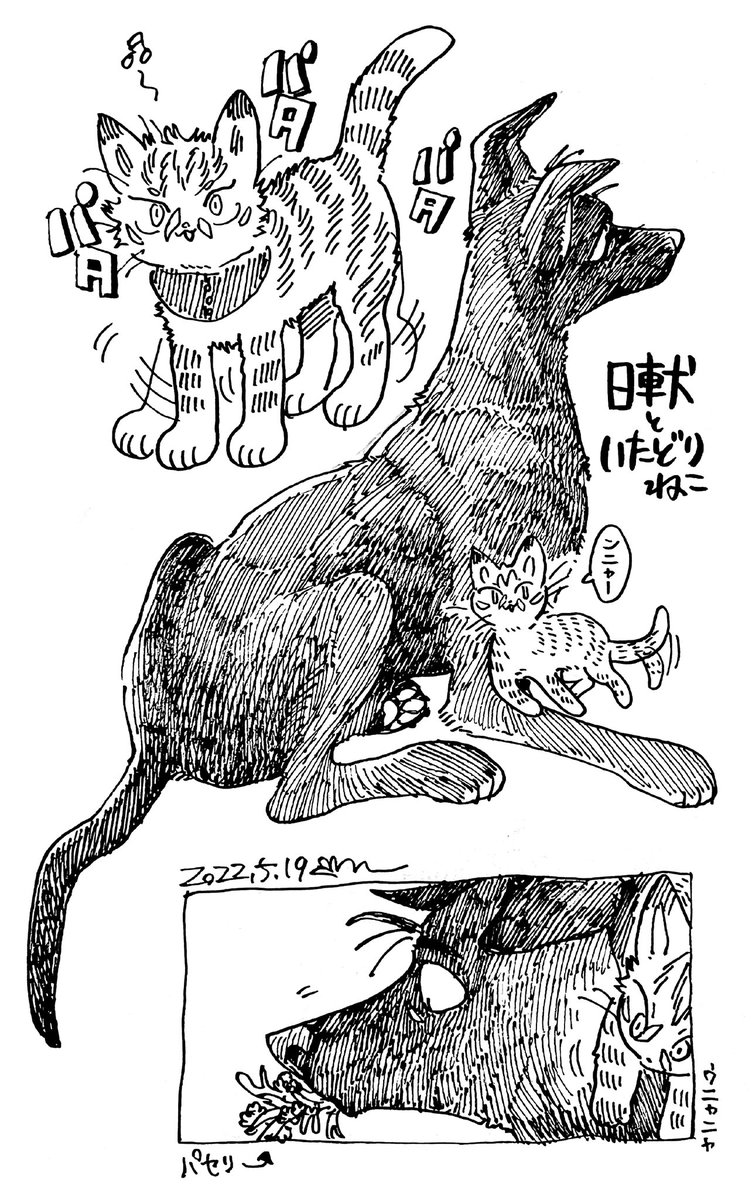 日車犬といたどりねこ(獣化) 