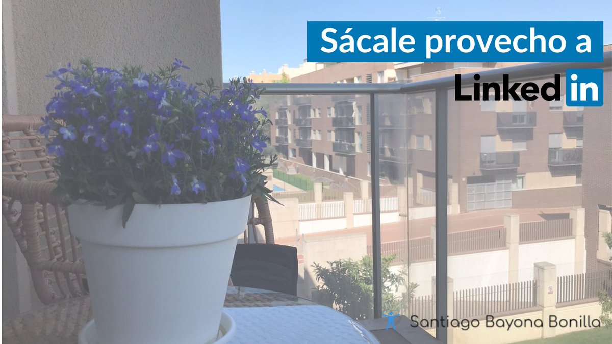 Bayo1386's tweet photo. 🌺 🌼 ¿Sabías que tu perfil de @LinkedIn  puede ser como la primavera?

😆 ¡Qué no hombre, que no me he vuelto loco!

Así como lo escuchas, entre más la riegues y le des mimos, más cosecharas en las épocas más fértiles, tal y como ocurre con las flores en primavera. 💐🌈 https://t.co/mKaRe4kshF