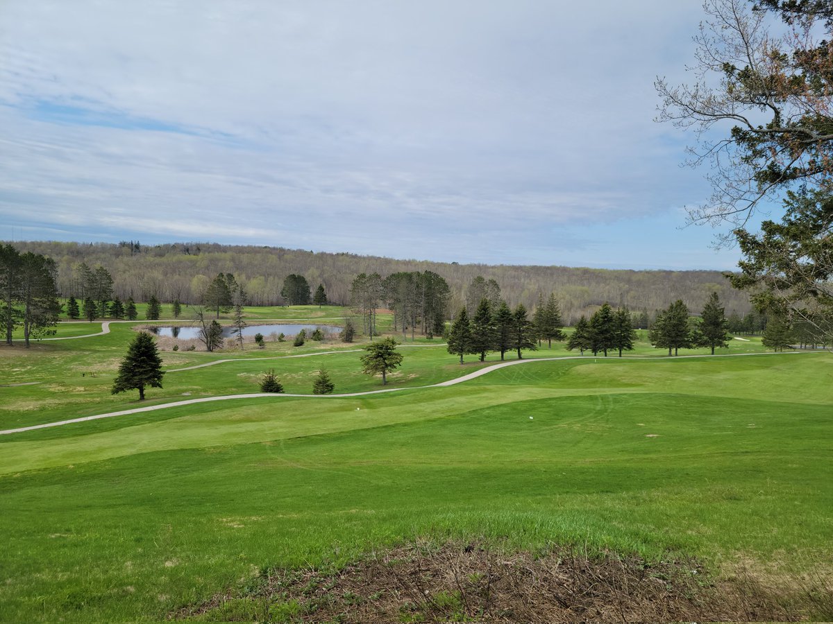 28CJohnson's tweet photo. #picaday9 buds on the trees, greening up, chance of rain increasing.... https://t.co/z5VQoLPsaN