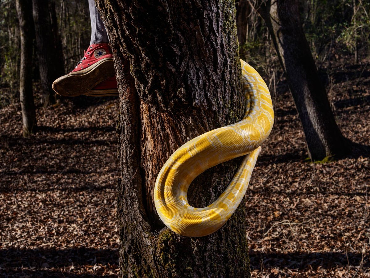 1/5 Fascinated by this image and the entire Knit Club collection crafted by <a href="/StudioDrake/">CarolynDrakeStudio</a>. The ambiguity of the work and that of her collaborators leaves the viewer with so many open ended questions that allow our imaginations to run wild.