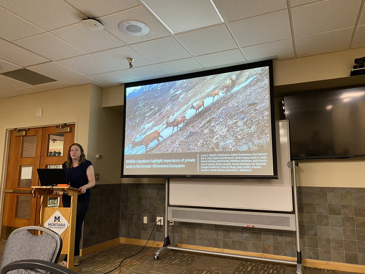 liztemplin_'s tweet photo. Our amazing post-doc @LauraCGig shared the importance of private land to wildlife migration throughout the GYE today at @GYEConference 2022. https://t.co/evilWlEAMV