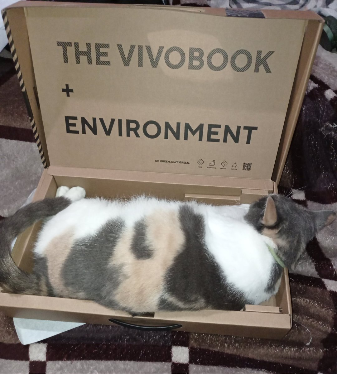 Remusqs1's tweet image. It seems that she also prefers @ASUS #codingWithCats #Bichofué