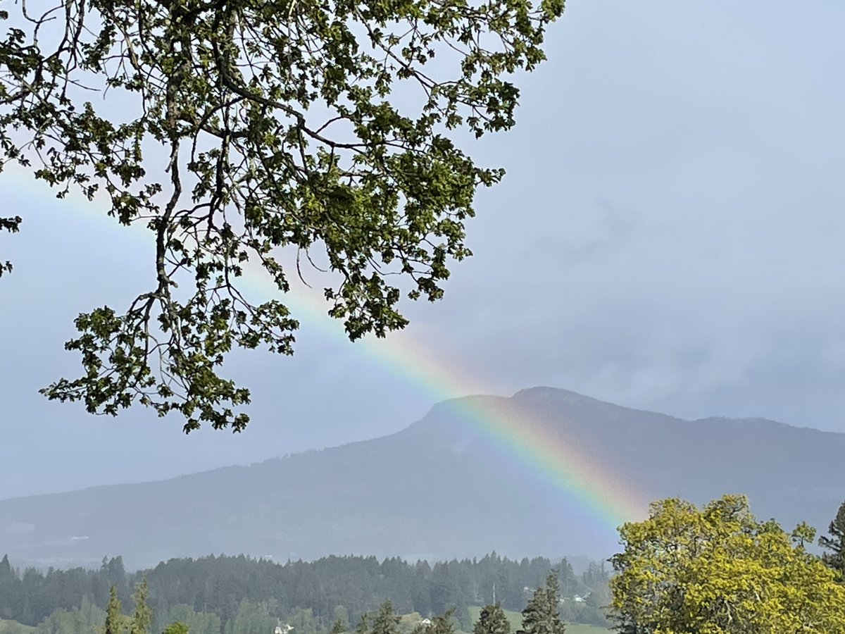 Weather reports would be so much better it they included a % chance of rainbows.     "Mixed rain and sun": 😩;  "90% chance of rainbows": 😀