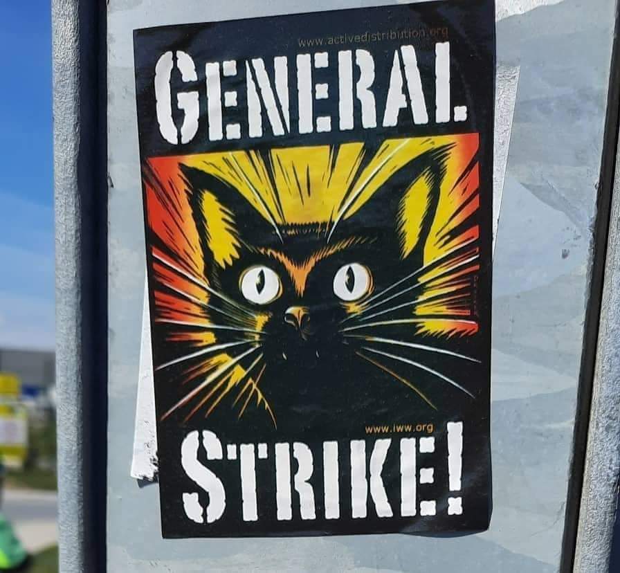 Solidarity with  Laboratory Workers across the country fighting for pay equality <a href="/iww/">Industrial Workers of the World</a> @BelfastIWW <a href="/HSC_NI/">Health and Social Care Northern Ireland</a> <a href="/IrelandIww/">IWW Ireland</a> facebook.com/84186785599681…