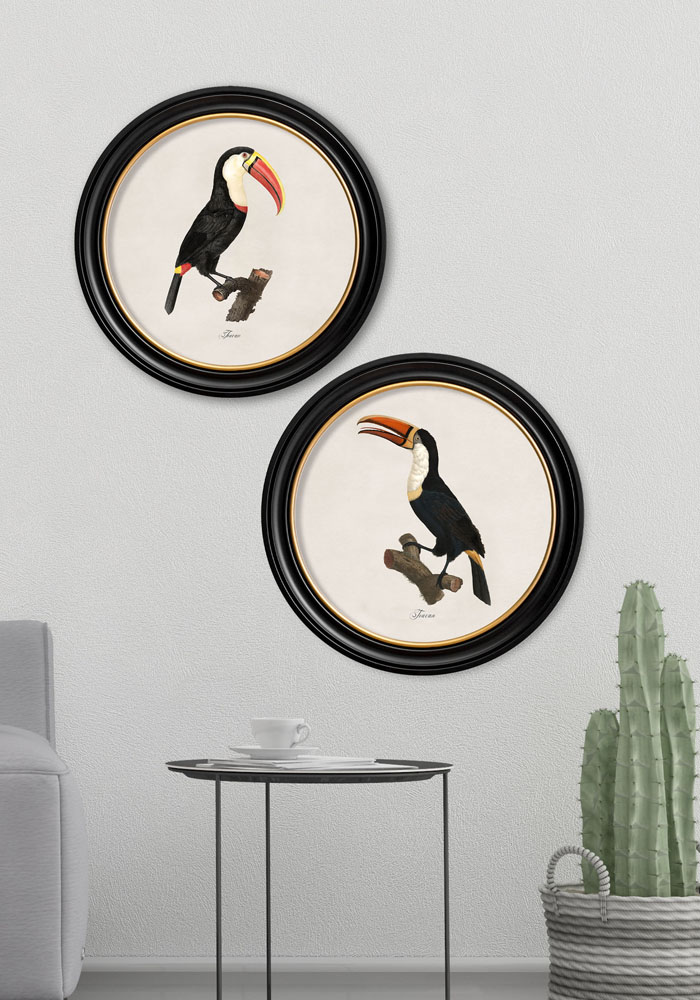 Decor Clever tweet media