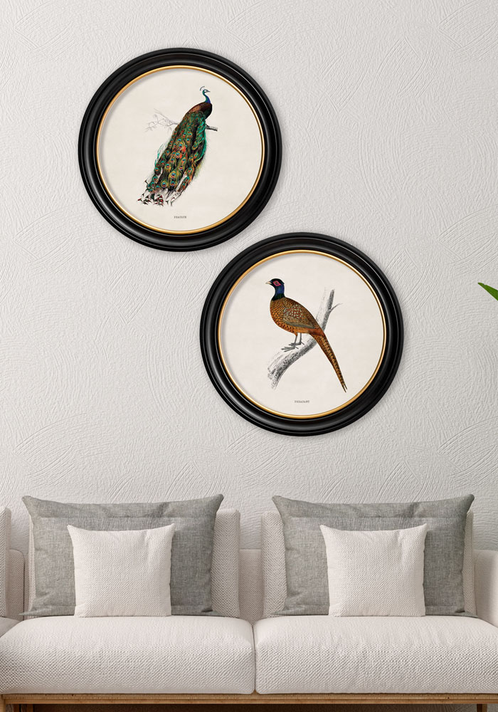 Decor Clever tweet media