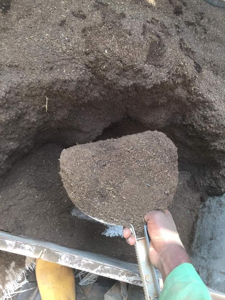 TheCameroonianZ's tweet photo. Rich nature : l'engrais biologique naturel.
#MadeInCameroonDay
Disponible pour tout type de culture au prix promo de 13 000 FCFA le sac de 50kg.
Disponible en sac de 5kg aussi.
Contact utile : 656856479 https://t.co/ygJc6eoDkf
