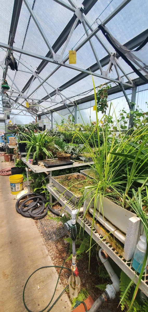 SandraPierceKKM's tweet photo. One of the many awesome things about holding Kids &amp; &amp; Kows &amp; More at Tarlton State Agriculture Farm is learning about aquaponics! https://t.co/gNbSZ1jbGP