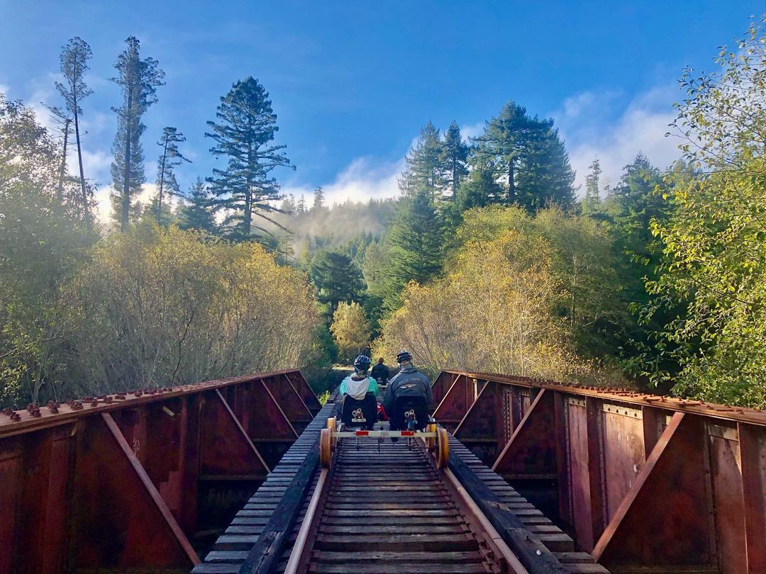 7x7's tweet photo. Experience an all new way to see the redwoods by rail on one of Skunk Train's railbikes! https://t.co/typGrqhRlV #sponsored @skunktrain #railbikes #mendocino https://t.co/1E1nut6IAN