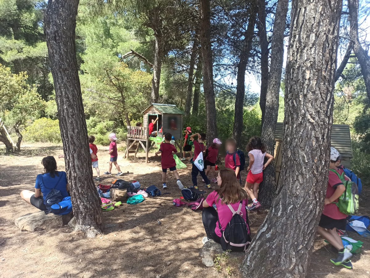 Escola_Agulla's tweet photo. 👧🏻🧒🏼 L’alumnat de #P5 i #1r #EP està de colònies a la Pobla de Cérvoles. 

#ieagulla #aprenentatges https://t.co/zMMqhFfdwL