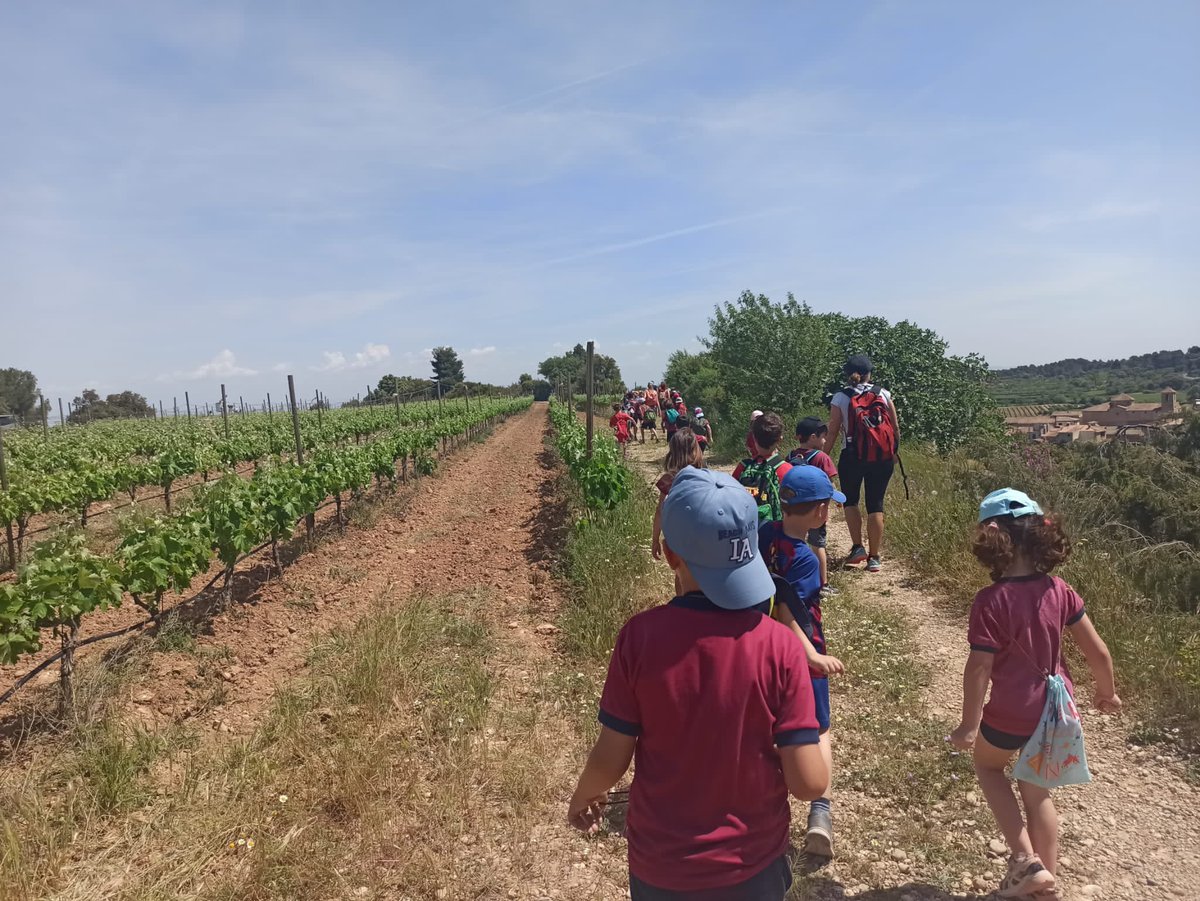 Escola_Agulla's tweet photo. 👧🏻🧒🏼 L’alumnat de #P5 i #1r #EP està de colònies a la Pobla de Cérvoles. 

#ieagulla #aprenentatges https://t.co/zMMqhFfdwL