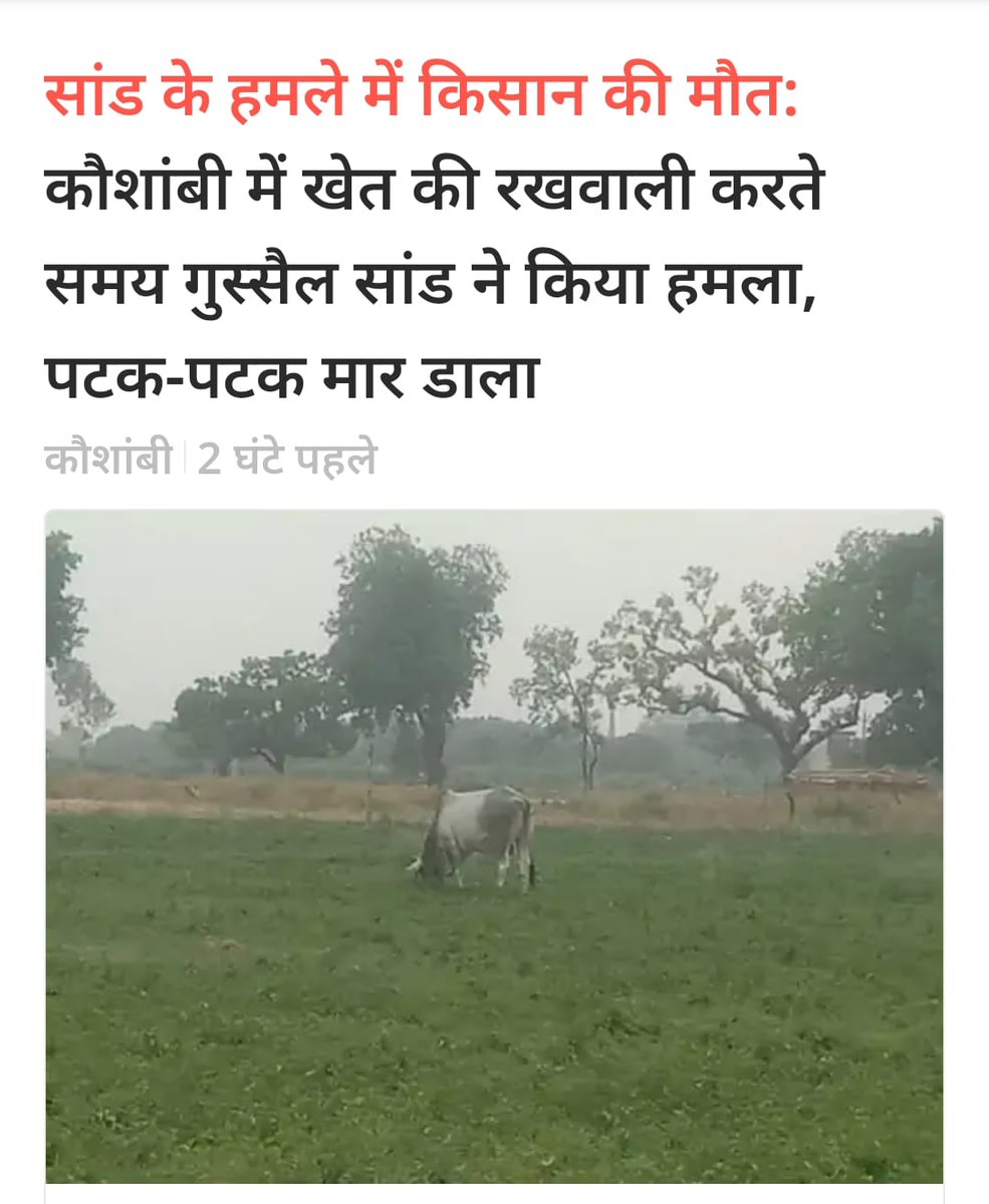 Samajwadi Party Media Cell tweet media