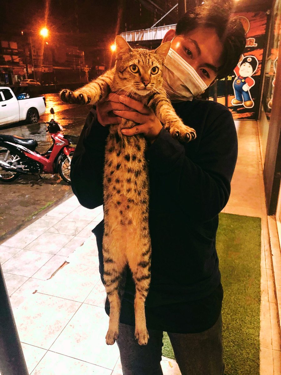 1998Jenjira's tweet photo. #ช่วยคู่ #รับงาน #รับงานนครศรีธรรมราช 
#เด็กเอ็น มีน้องให้เลือกพร้อมค่าขนมบ้างเล็กน้อย นิสัยดีสะอาด ผู้หญิง สาวสองสอบถามได้นะคะ https://t.co/5yXTNH5D9b