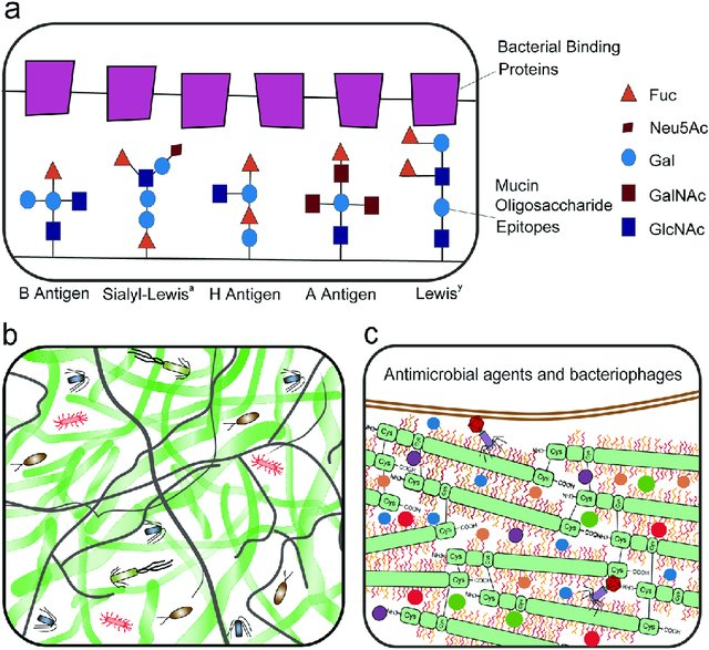 badglycans tweet media
