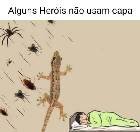 zSenshi_Sama's tweet photo. eu te amo lagartixa https://t.co/tJGKo3Spu2
