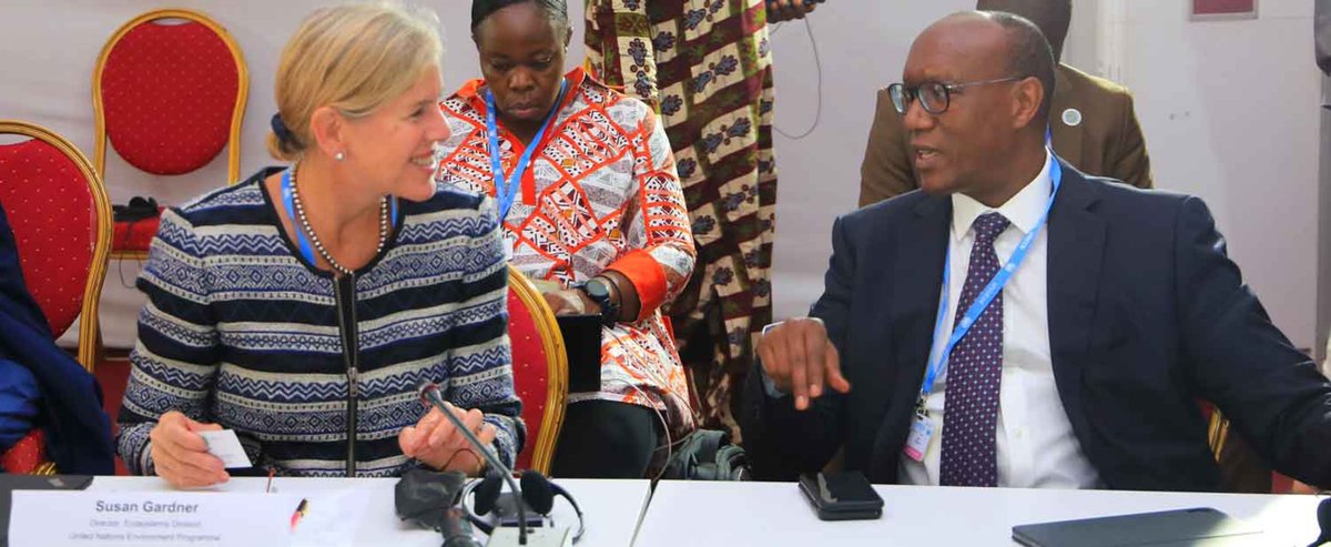 AfDB_Group's tweet image. Create 10 million jobs, sequester 250 million tons of carbon and restore 100 million hectares of degraded land in 11 countries. That’s the overarching goal of the #GreatGreenWall. More on “Africa’s most audacious nature-based solution”:  bit.ly/3yGQg5E #COP15 #UNCCDCOP15