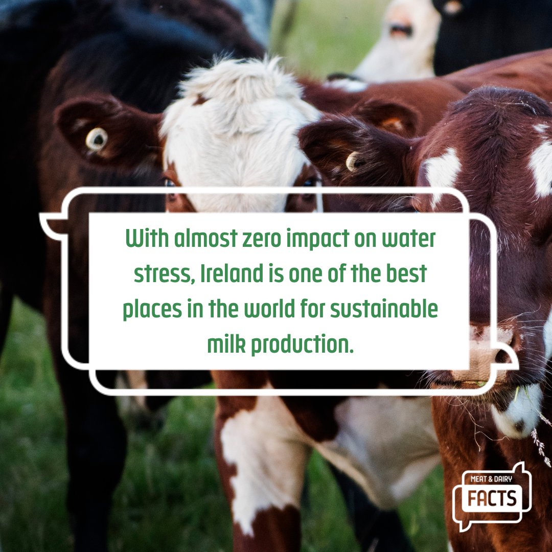 Meat_DairyFacts's tweet photo. Did you know? 

#meatanddairyfacts #recipe #nutrition https://t.co/SQY3U3Du7F