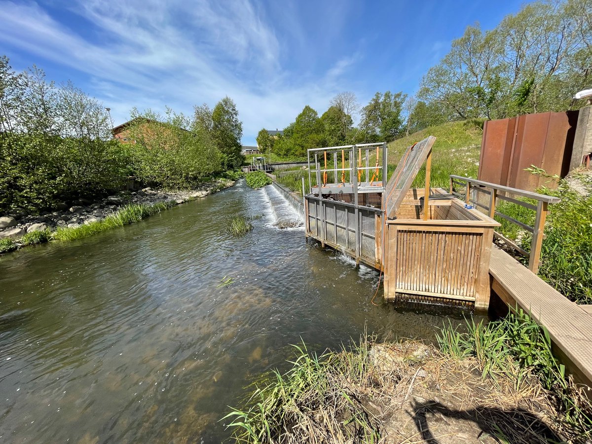 Olle Calles tweet media