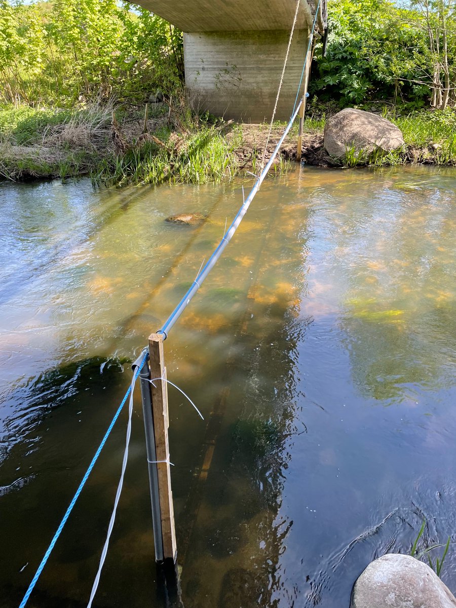 Olle Calles tweet media