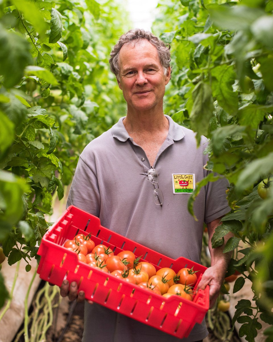 Definitely <a href="/LongWindFarm/">Long Wind Farm</a> #realorganic tomatoes! Grown in thriving healthy soil by our co-director Dave Chapman in East Thetford!