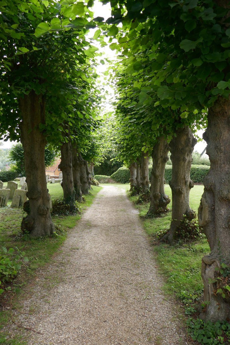 KWCook57's tweet photo. Here's one for #TreesInChurches from #MonksEleigh OK, it's not IN the church, but it's close. https://t.co/I4ZQpMcWXZ