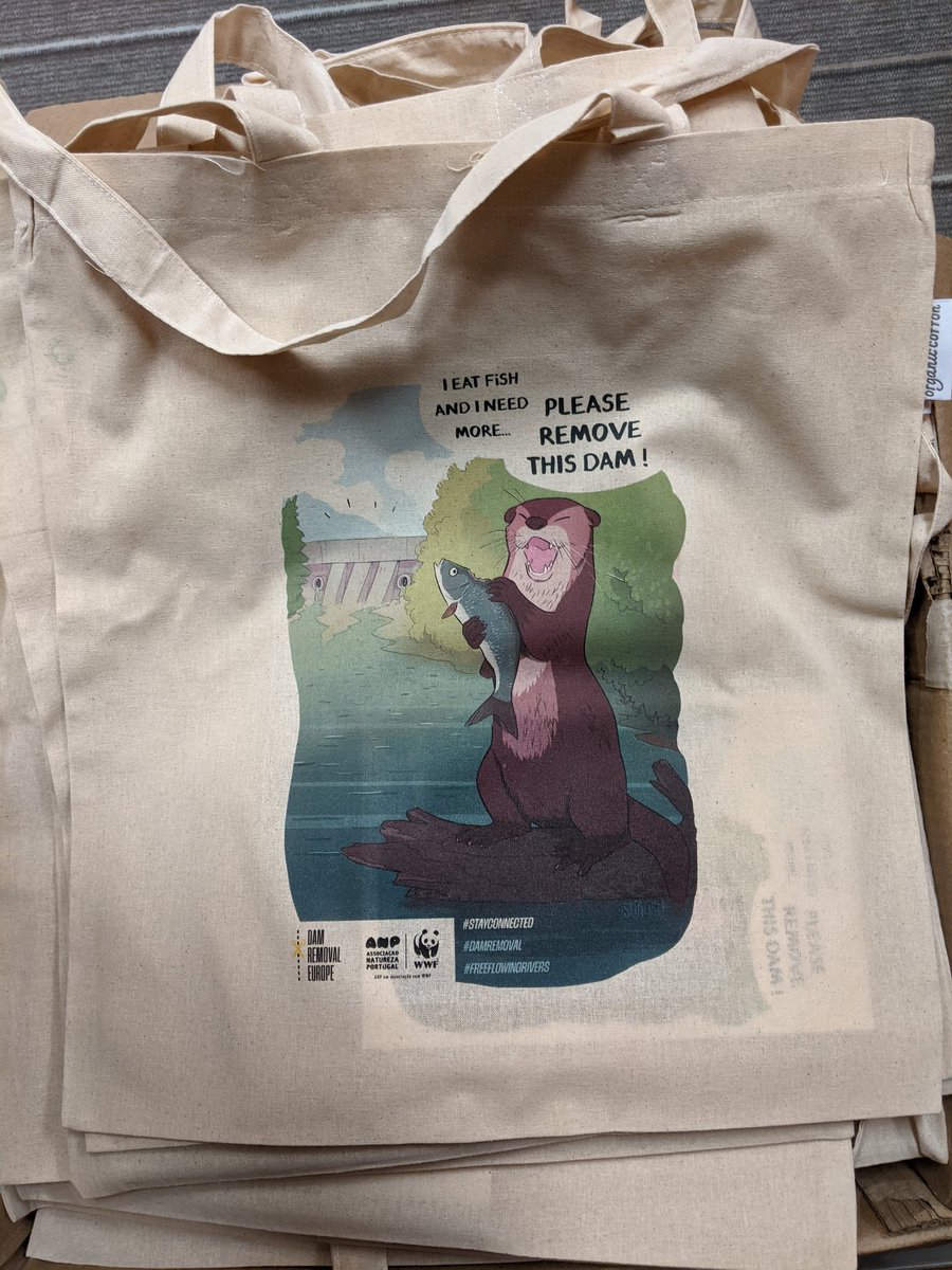 SmalishGalad's tweet photo. Super stoked today to have all my art used like this for the #connectedrivers seminar in Lisbon! Can't wait for tomorrow!
@worldfishmigration @fishmigration @DamRemovalEU #otter #conservation #fishmigration #wwf https://t.co/20gVVu5UWa