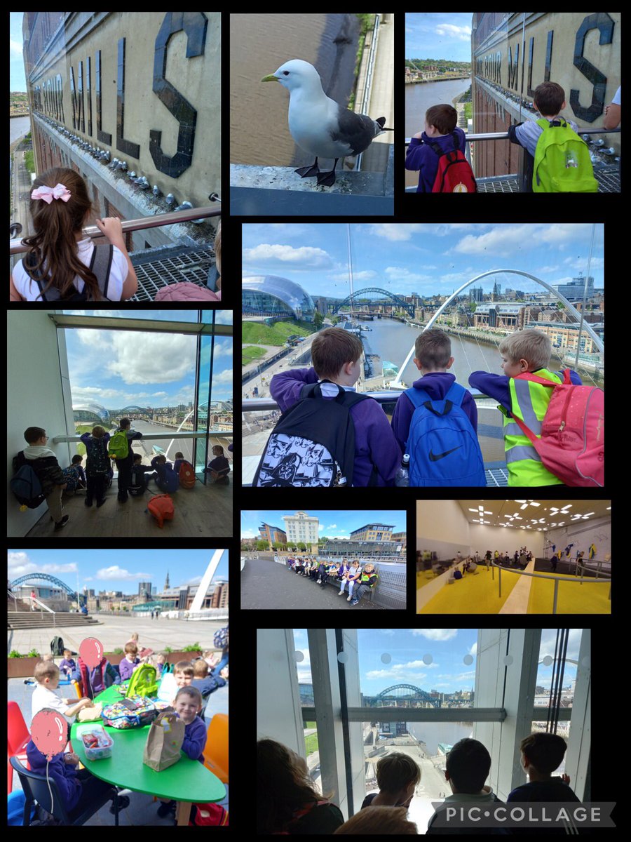 First ‘non-local’ visit in two years! Best place to visit when you’re learning about bridges? Newcastle quayside of course, 7 magnificent bridges to experience and view from the @balticgateshead viewing platform. Proud of Badger’s behaviour and curiosity @GrasmereAcademy