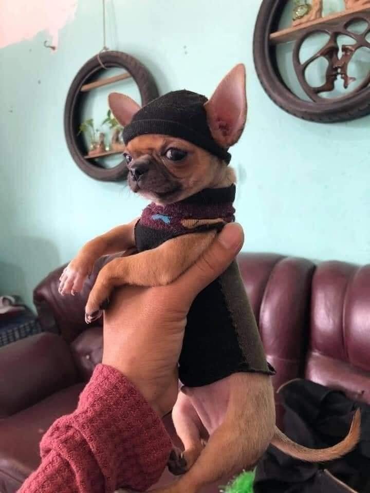"No frio as pessoas ficam mais elegantes"

Eu no frio: