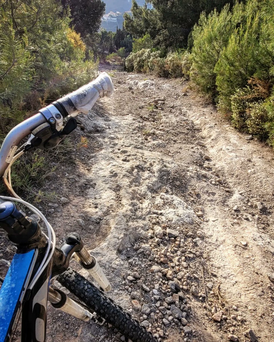 RaulSantos1981's tweet photo. Tarde de #mtb con #bpro #m400 por los montes Tropicales..🚲🏔
#mtb #mtbspain #mtblife
#shimano #xct #MountainBike #bicicleta #naturalbeauty #18Mayo https://t.co/NznDxXuNcn
