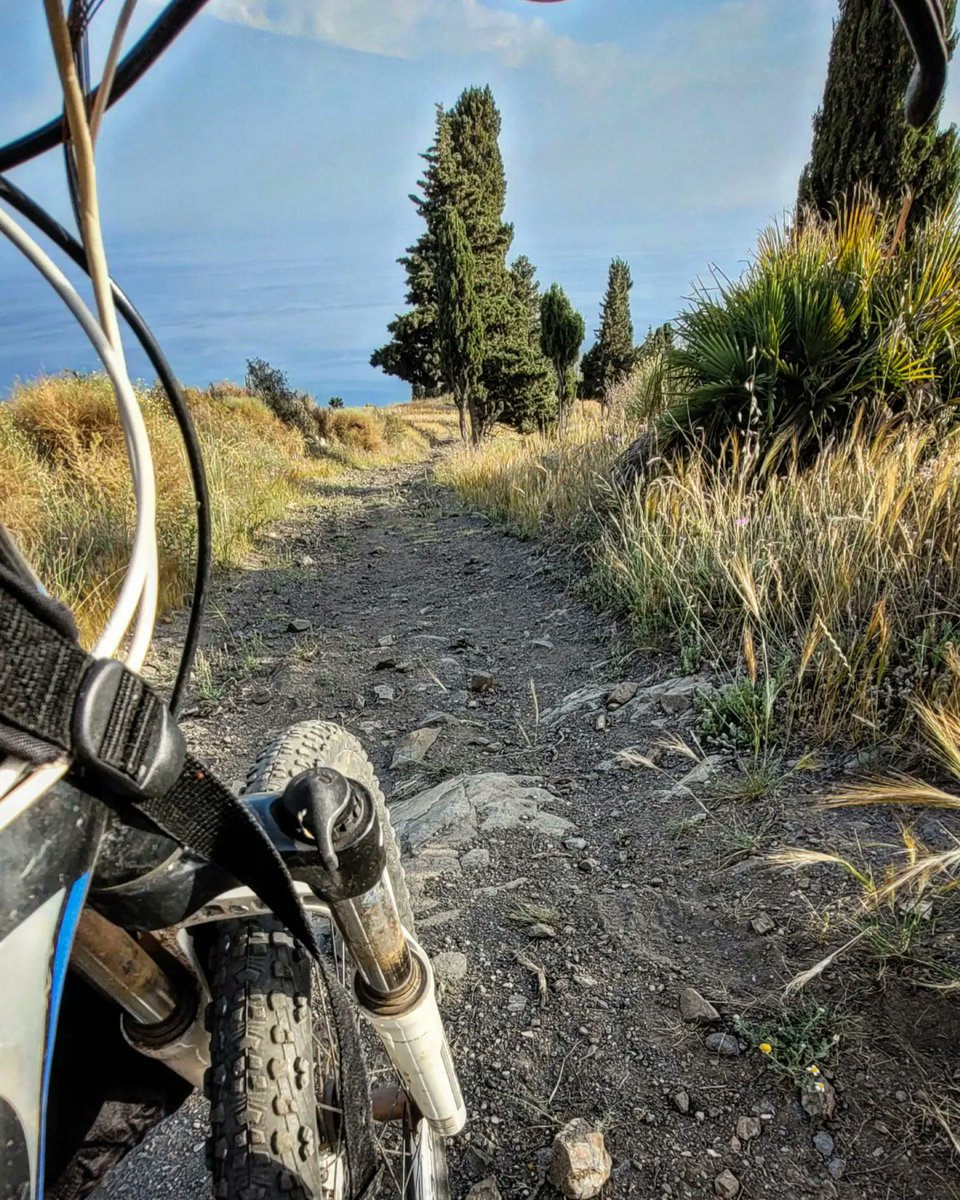 RaulSantos1981's tweet photo. Tarde de #mtb con #bpro #m400 por los montes Tropicales..🚲🏔
#mtb #mtbspain #mtblife
#shimano #xct #MountainBike #bicicleta #naturalbeauty #18Mayo https://t.co/NznDxXuNcn