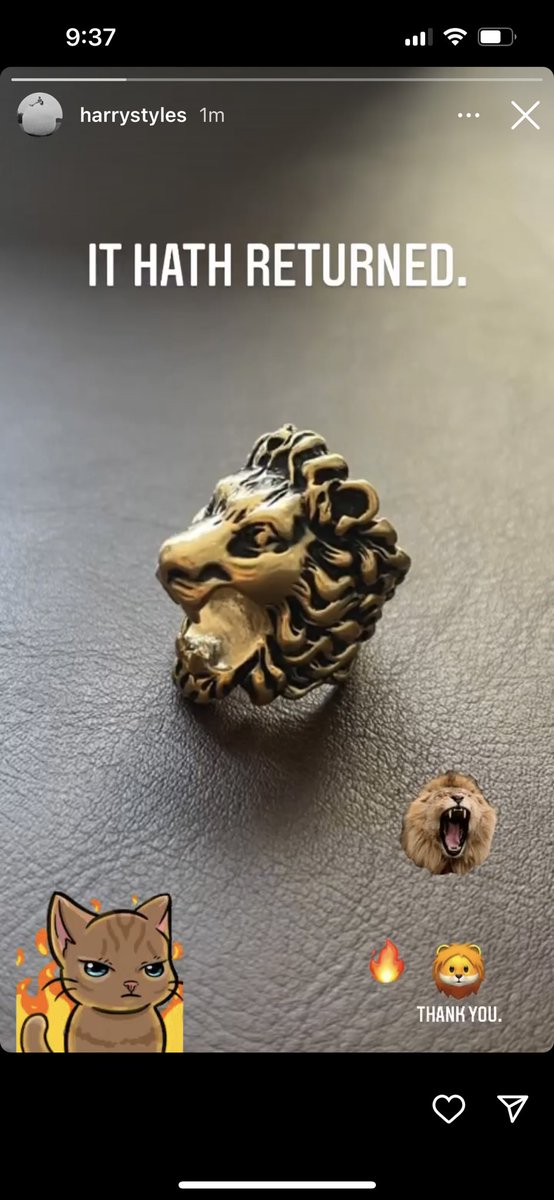 Harry while picking the gifs