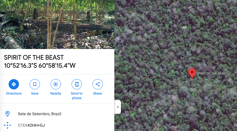 爪όησ𝑔𝓻αᗰΔ - 1st GLOBAL ARTIVIST COLLECTVE ✊ tweet media