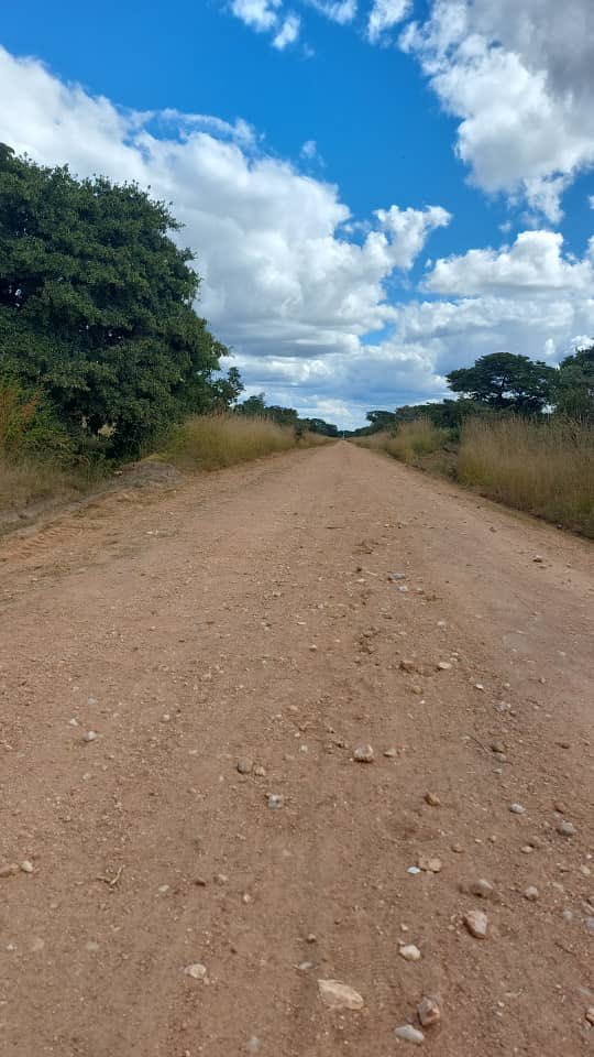nickmangwana's tweet photo. ZVIMBA
Matoranjera-Rwenhombo-Zumbara-Chigaro Hombwe Road is 110 km long. The road Links St Ruperts,Chitomborwizi,Matoranjera primary and secondary schools,Zumbara business and Zumbara clinic. The road is under Makonde RDC and expected to be complete in two months time. #ERR2 https://t.co/RNofNA9mfG