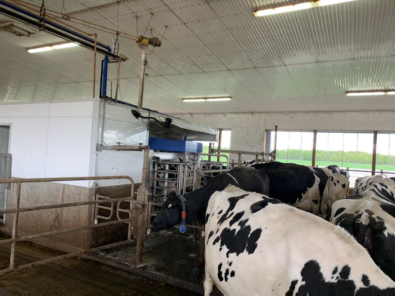 Congratulations to Springview on their start up yesterday! Looking good 🥳💪Thank you for choosing Norwell! #ontag #dairydonewell #farming #agriculture

📷 <a href="/EthanBrownCow/">Ethan Brown</a>
<a href="/DeLavalCanada/">DeLaval Canada</a>