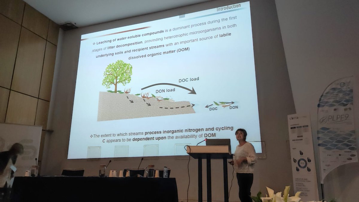 DryHarshSal tweet media