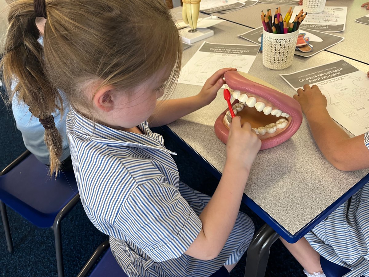 SGSReception's tweet image. Today #SGSReception enjoyed a oral hygiene workshop led by Mrs Key our school nurse! #SGSPrep