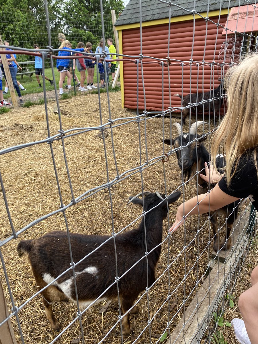 Jennifer Suskovich tweet media