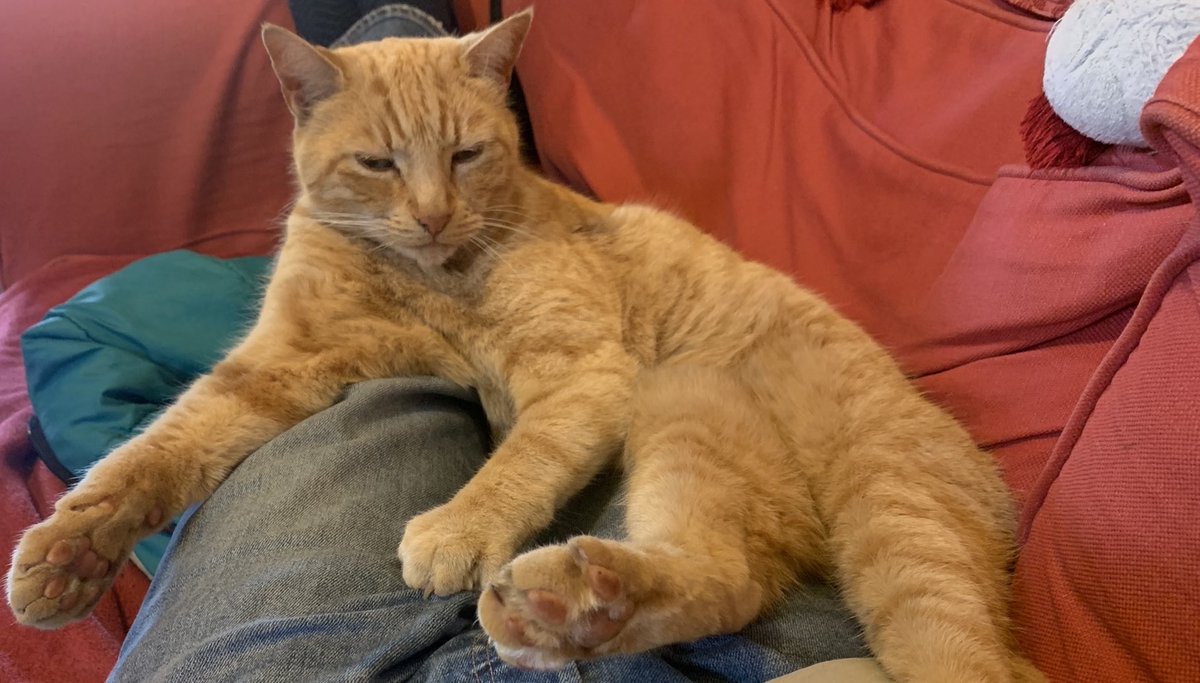 GingerBench's tweet photo. I have perhaps a “fuller figure”. Please help find me. THANK YOU. https://t.co/g91yx6waIM