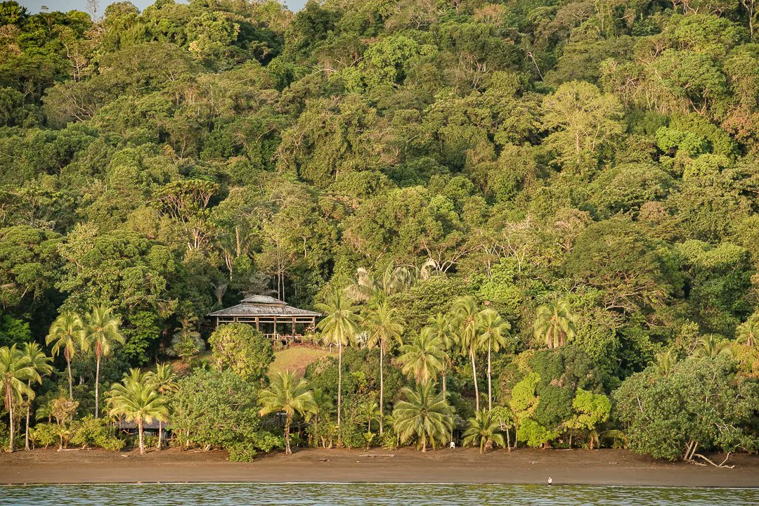 Anomadphotgraph's tweet photo. [Best &amp; Off] After travelling and working for more than 4 months in Colombia and Ecuador, here is a small best off of my 6 favorite hotels (difficult choice). 
1 Mapara crab hotel
@fujifilmfrance #fierdemonfuji #colombia https://t.co/xwCuudwjFb